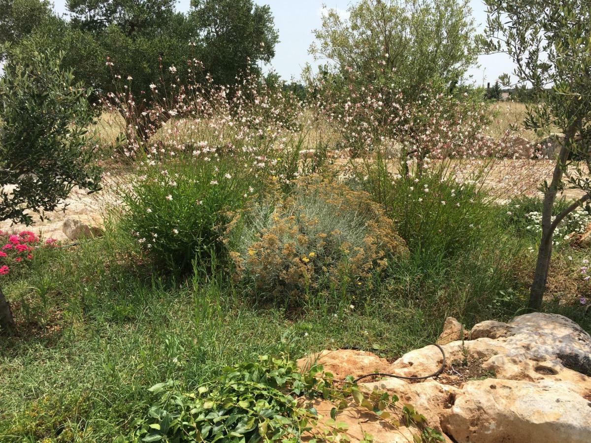 Trulli Relais Casa Gemma Βίλα Μαρτίνα Φράνκα Εξωτερικό φωτογραφία